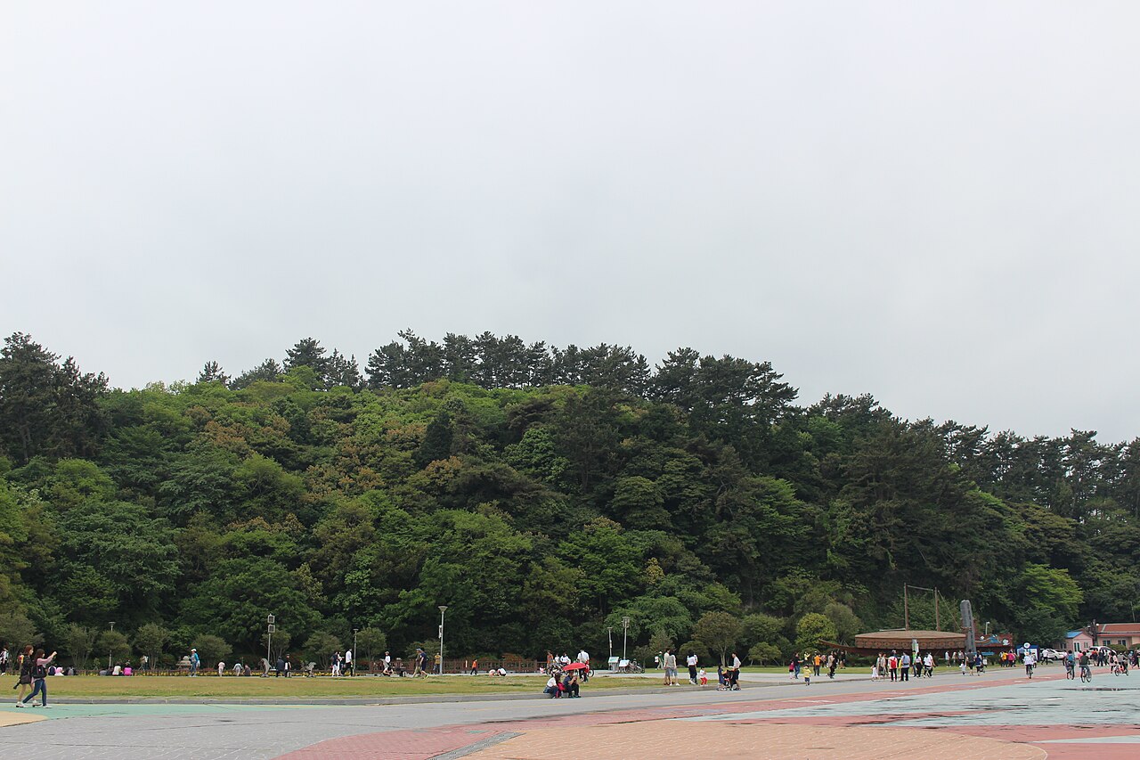梧桐島 (オドンド) 3