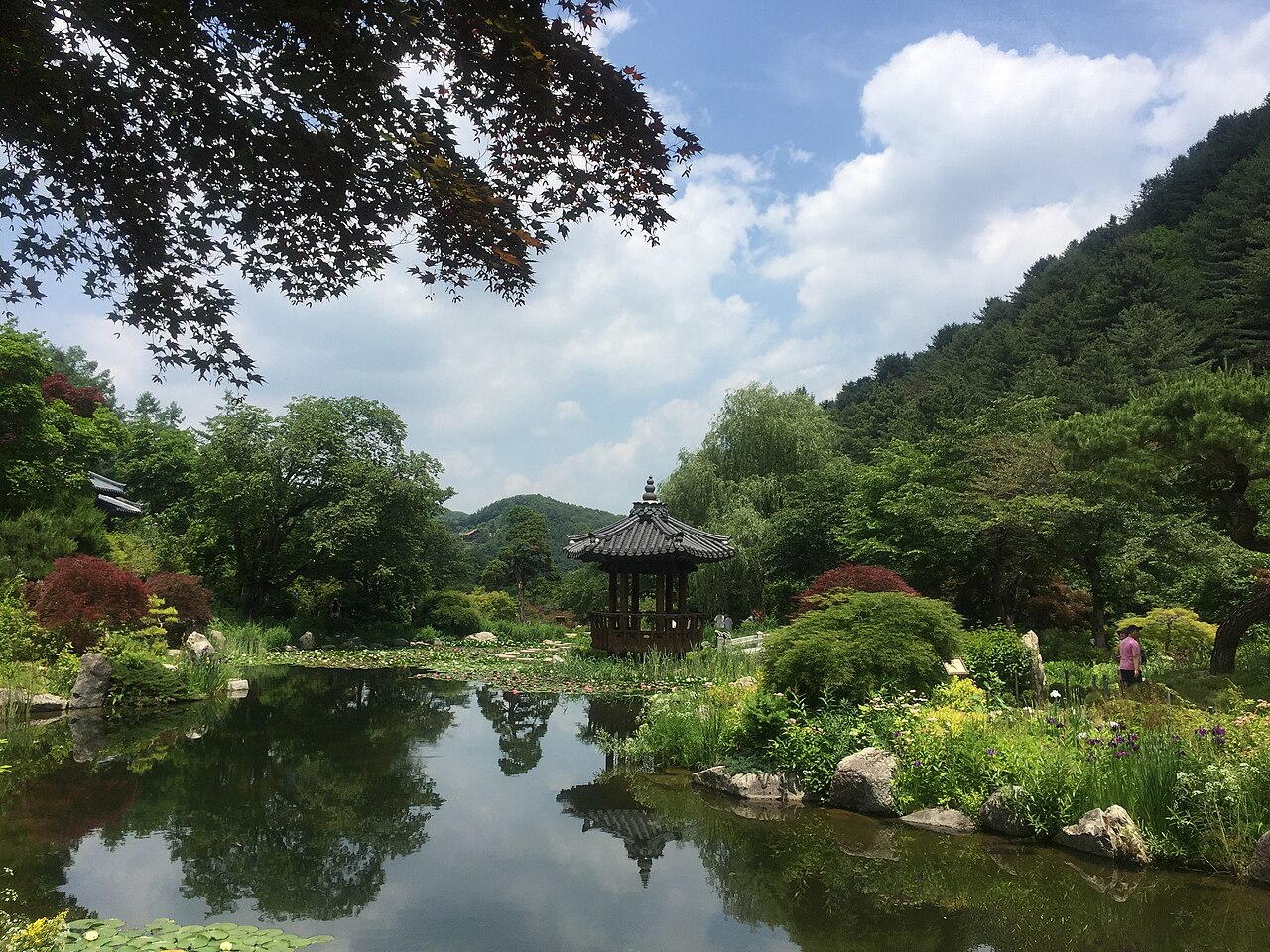 아침고요수목원 5