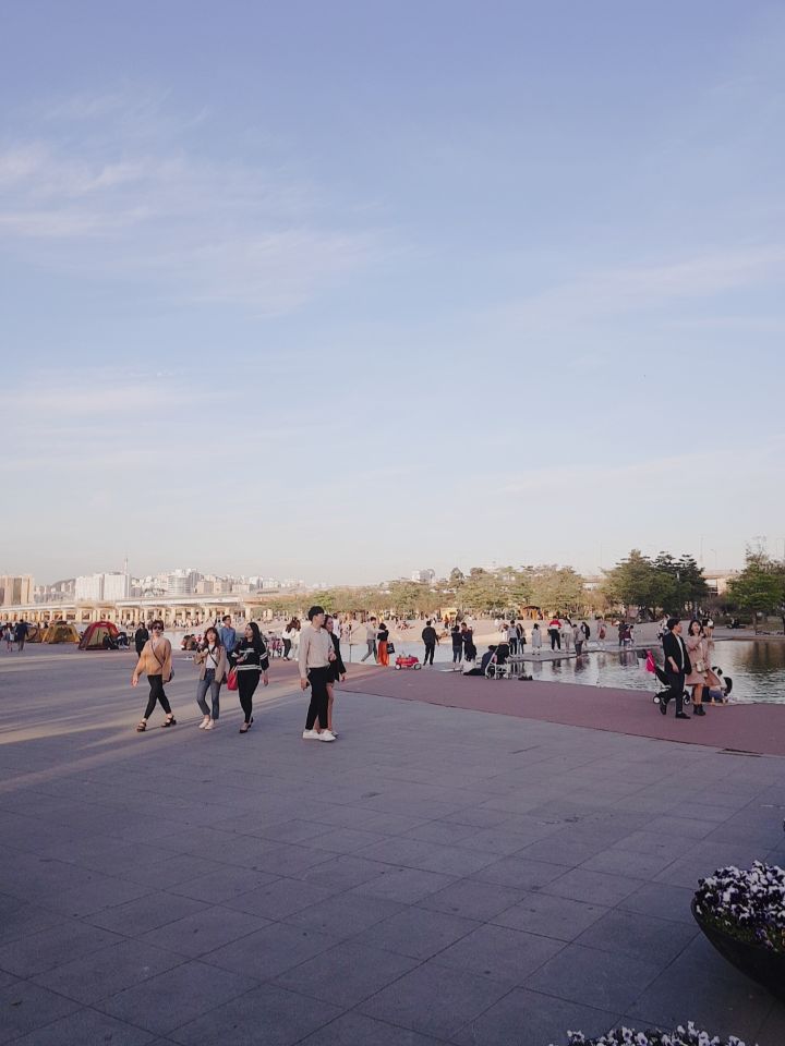 Yeouido Hangang Park (여의도한강공원) 1