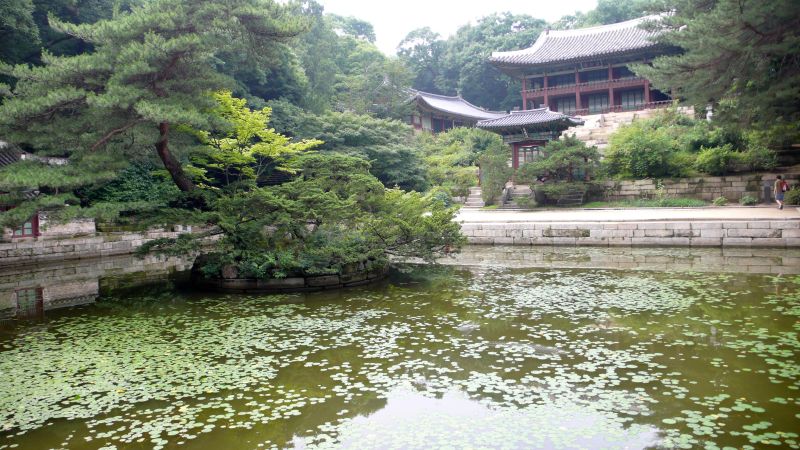 Changdeokgung Palace (Secret Garden) (창덕궁 후원) 3