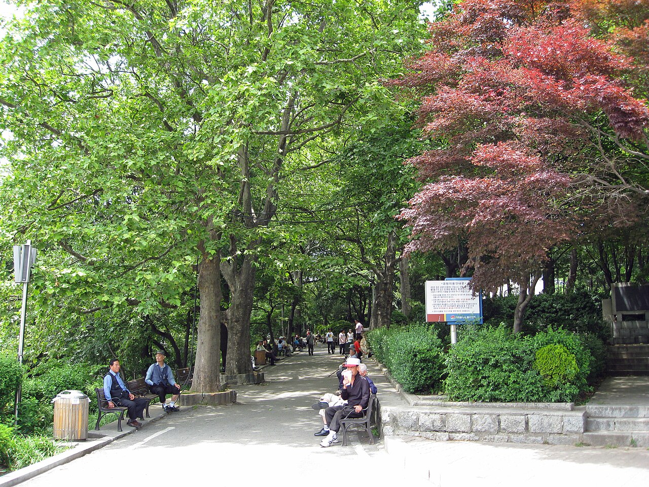 自由公園 3