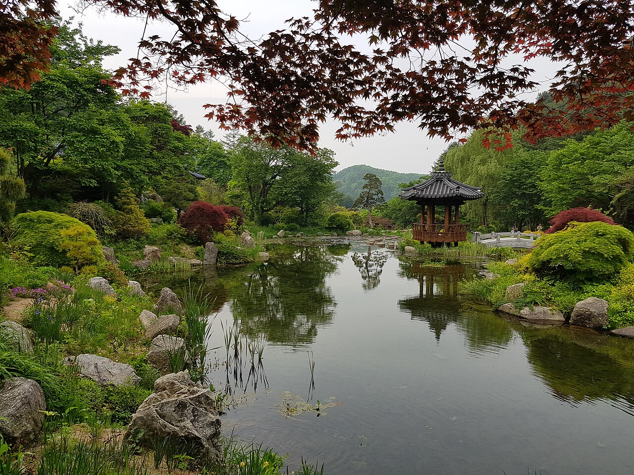 아침고요수목원 2