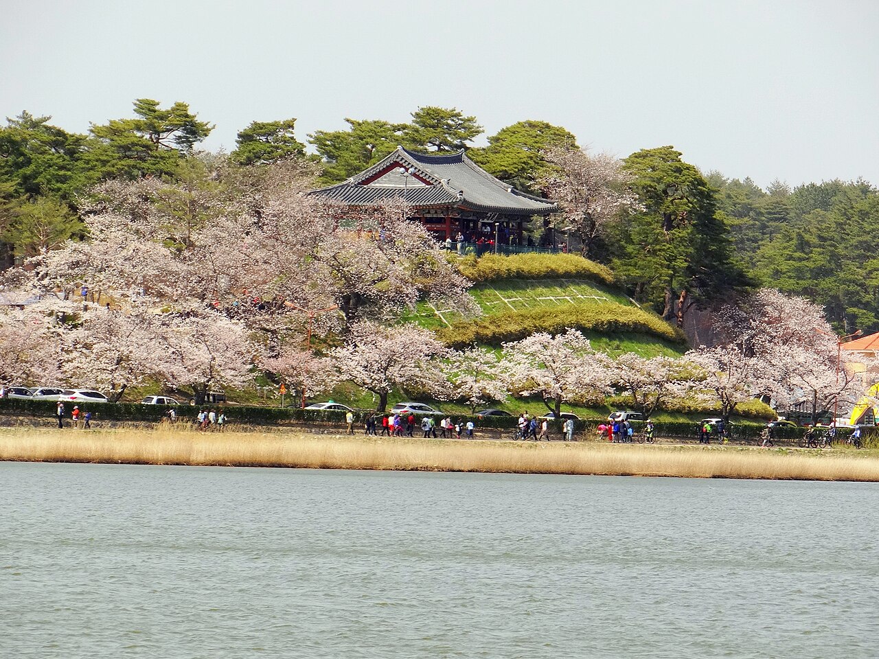 Gyeongpodae Pavilion (경포대) 2