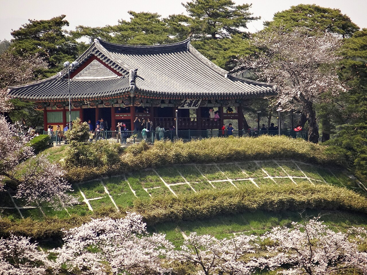 Gyeongpodae Pavilion (경포대) 3