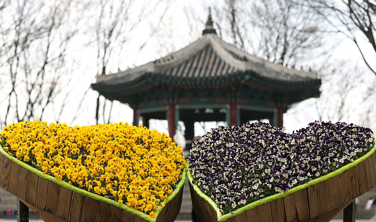 N Seoul Tower (남산서울타워) 3