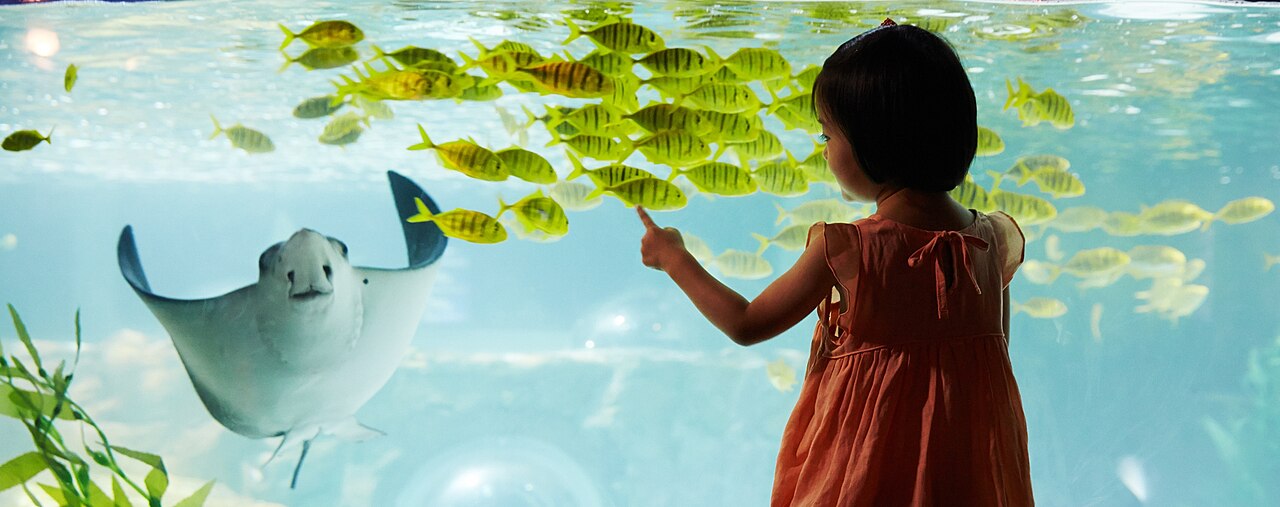 SEA LIFE Busan Aquarium (씨라이프 부산아쿠아리움) 3